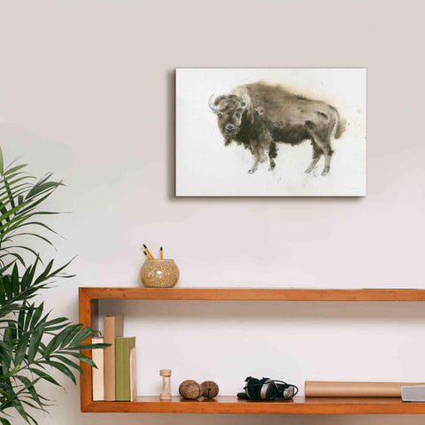 Image of 'Buffalo Bill' by James Wiens, Canvas Wall Art,18 x 12
