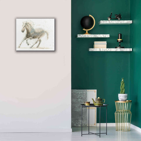 Image of 'Stallion II Horizontal' by James Wiens, Canvas Wall Art,24 x 20