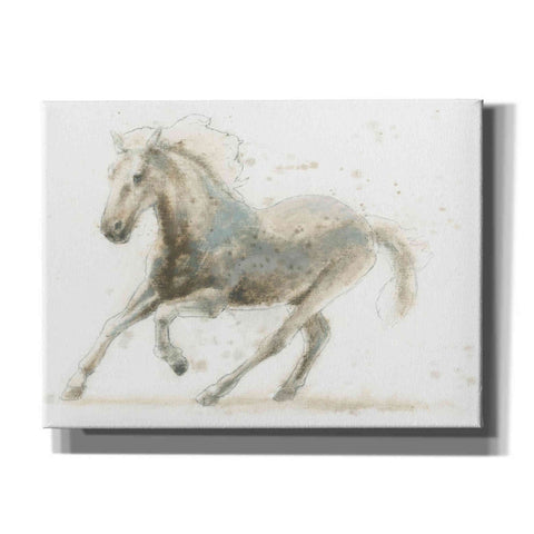 Image of 'Stallion II Horizontal' by James Wiens, Canvas Wall Art,16x12x1.1x0,24x20x1.1x0,30x26x1.74x0,54x40x1.74x0