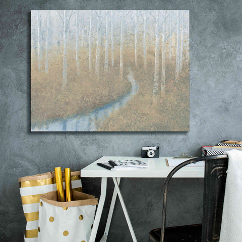 Image of 'Silver Waters' by James Wiens, Canvas Wall Art,34 x 26