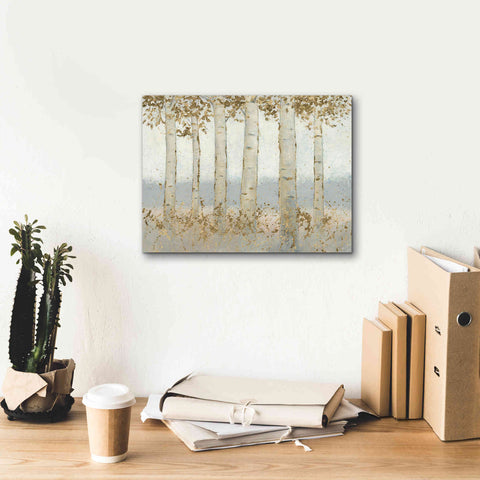 Image of 'Magnificent Birch Grove' by James Wiens, Canvas Wall Art,16 x 12
