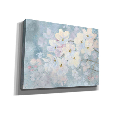 Image of 'Splendid Bloom' by James Wiens, Canvas Wall Art,16x12x1.1x0,26x18x1.1x0,34x26x1.74x0,54x40x1.74x0