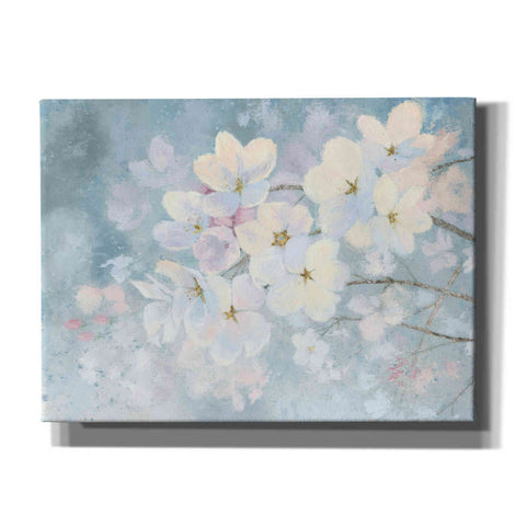 Image of 'Splendid Bloom' by James Wiens, Canvas Wall Art,16x12x1.1x0,26x18x1.1x0,34x26x1.74x0,54x40x1.74x0