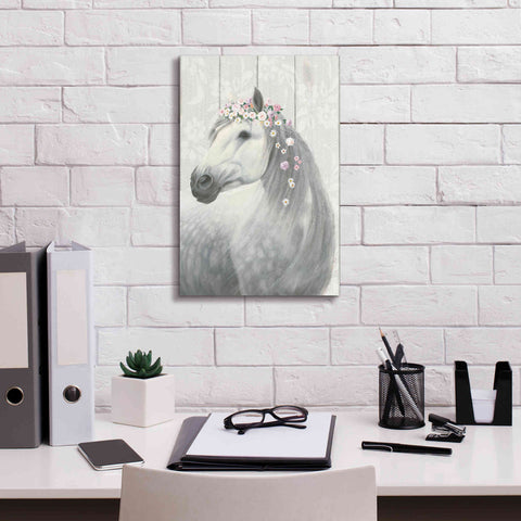 Image of 'Spirit Stallion II on wood' by James Wiens, Canvas Wall Art,12 x 18