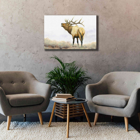 Image of 'Majestic Elk' by James Wiens, Canvas Wall Art,40 x 26