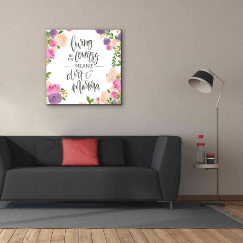 Image of 'Beautiful Country V' by James Wiens, Canvas Wall Art,37 x 37