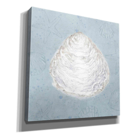 Image of 'Serene Shells I' by James Wiens, Canvas Wall Art,12x12x1.1x0,18x18x1.1x0,26x26x1.74x0,37x37x1.74x0