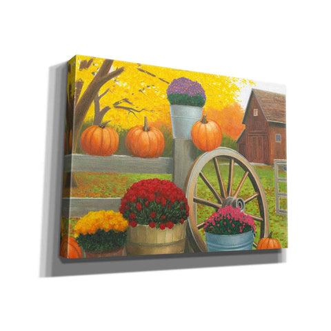 Image of 'Autumn Affinity II' by James Wiens, Canvas Wall Art,16x12x1.1x0,26x18x1.1x0,34x26x1.74x0,54x40x1.74x0