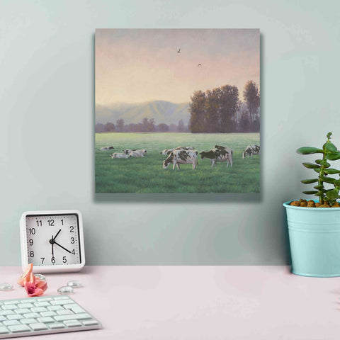 Image of 'Farm Life V' by James Wiens, Canvas Wall Art,12 x 12