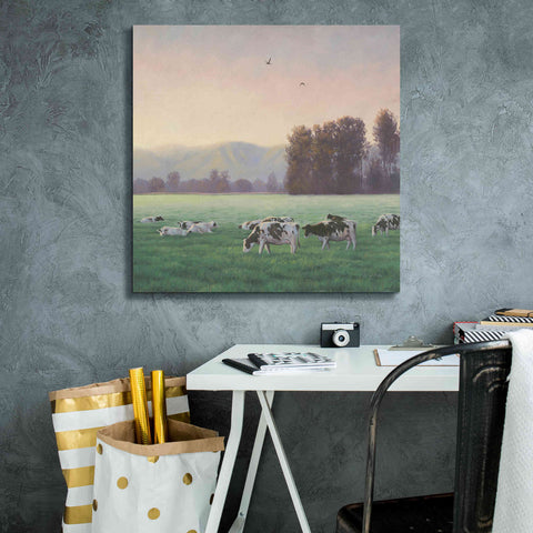 Image of 'Farm Life V' by James Wiens, Canvas Wall Art,26 x 26