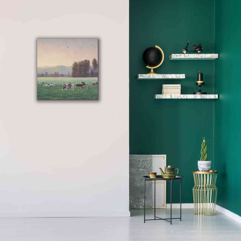Image of 'Farm Life V' by James Wiens, Canvas Wall Art,26 x 26