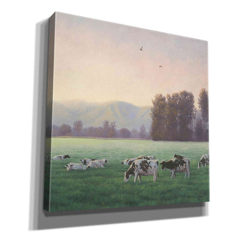 Image of 'Farm Life V' by James Wiens, Canvas Wall Art,12x12x1.1x0,18x18x1.1x0,26x26x1.74x0,37x37x1.74x0