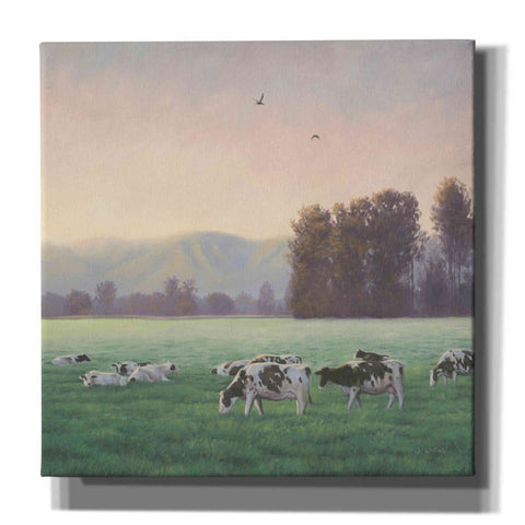 Image of 'Farm Life V' by James Wiens, Canvas Wall Art,12x12x1.1x0,18x18x1.1x0,26x26x1.74x0,37x37x1.74x0