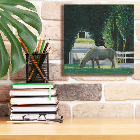 Image of 'Farm Life VI' by James Wiens, Canvas Wall Art,12 x 12