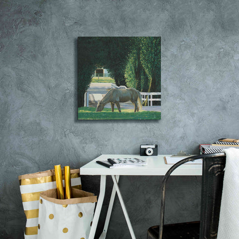 Image of 'Farm Life VI' by James Wiens, Canvas Wall Art,18 x 18
