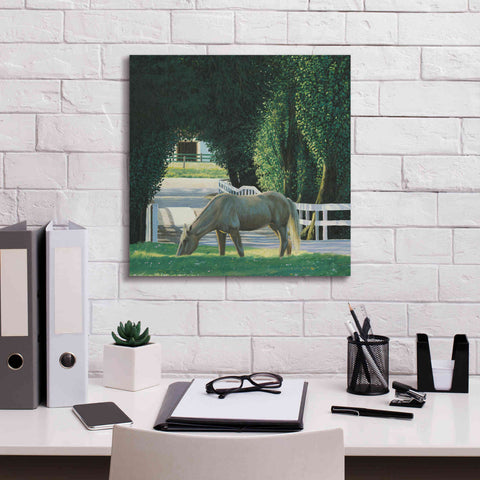 Image of 'Farm Life VI' by James Wiens, Canvas Wall Art,18 x 18