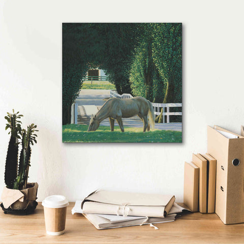 Image of 'Farm Life VI' by James Wiens, Canvas Wall Art,18 x 18