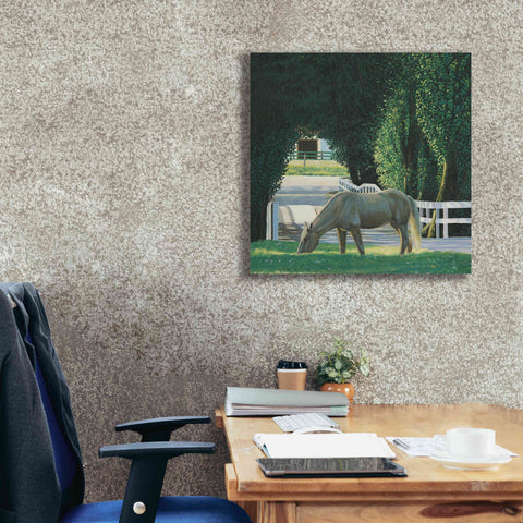 Image of 'Farm Life VI' by James Wiens, Canvas Wall Art,26 x 26