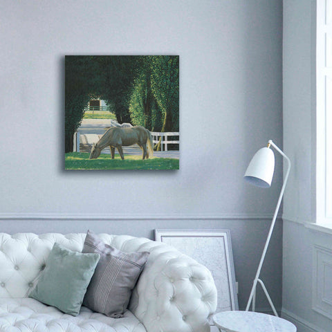 Image of 'Farm Life VI' by James Wiens, Canvas Wall Art,37 x 37