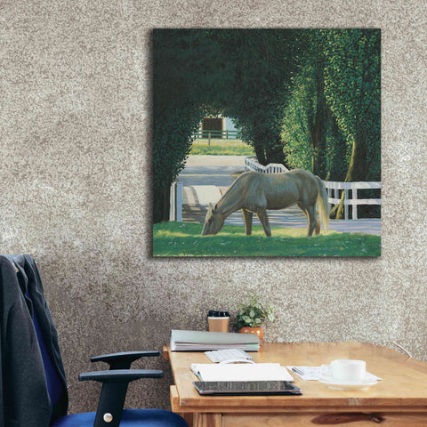 Image of 'Farm Life VI' by James Wiens, Canvas Wall Art,37 x 37