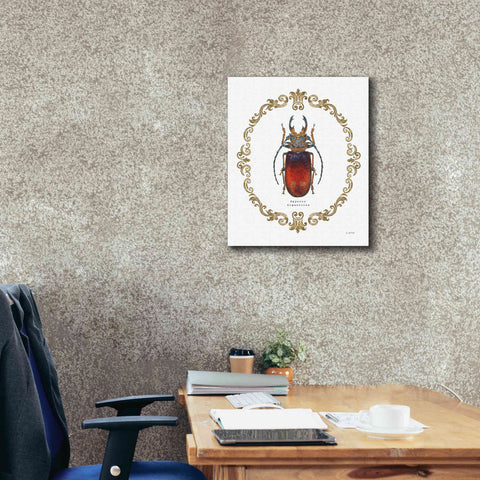 Image of 'Adorning Coleoptera I' by James Wiens, Canvas Wall Art,20 x 24