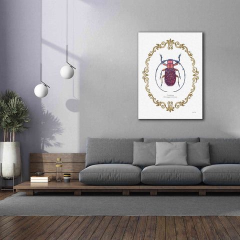Image of 'Adorning Coleoptera II' by James Wiens, Canvas Wall Art,40 x 54