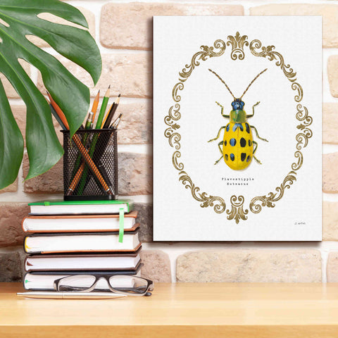 Image of 'Adorning Coleoptera VII' by James Wiens, Canvas Wall Art,12 x 16