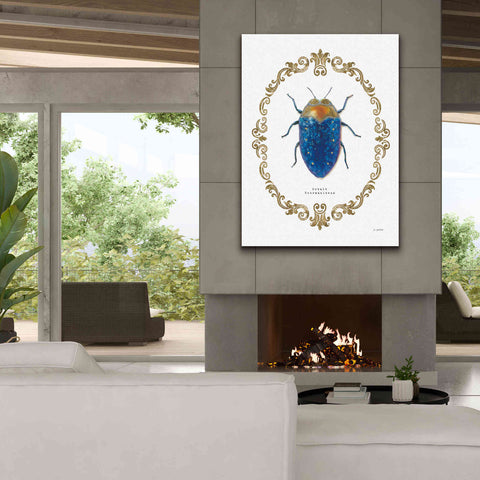 Image of 'Adorning Coleoptera V' by James Wiens, Canvas Wall Art,40 x 54