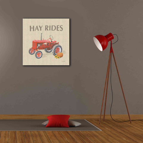 Image of 'Heartland Harvest Moments V' by James Wiens, Canvas Wall Art,26 x 26