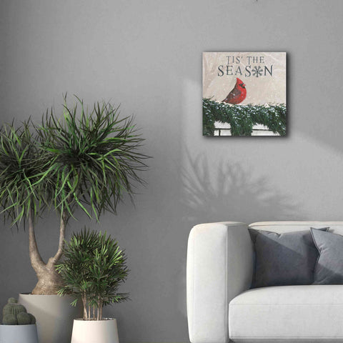 Image of 'Christmas Affinity X' by James Wiens, Canvas Wall Art,18 x 18