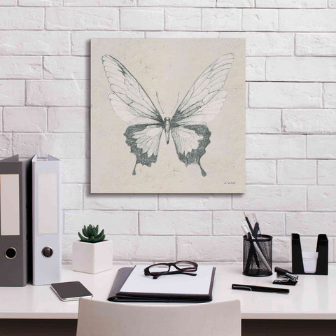 Image of 'Soft Summer Sketches V' by James Wiens, Canvas Wall Art,18 x 18