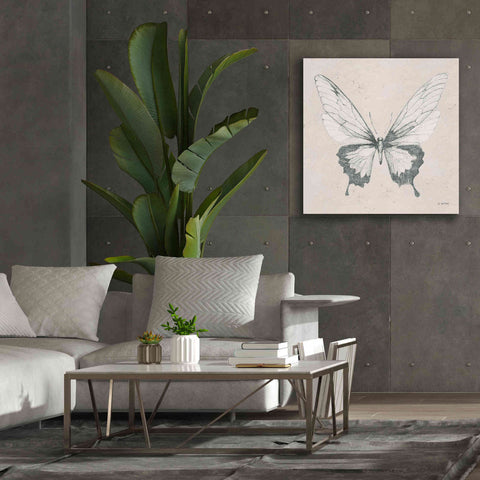 Image of 'Soft Summer Sketches V' by James Wiens, Canvas Wall Art,37 x 37