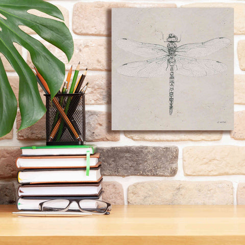 Image of 'Soft Summer Sketches VI' by James Wiens, Canvas Wall Art,12 x 12