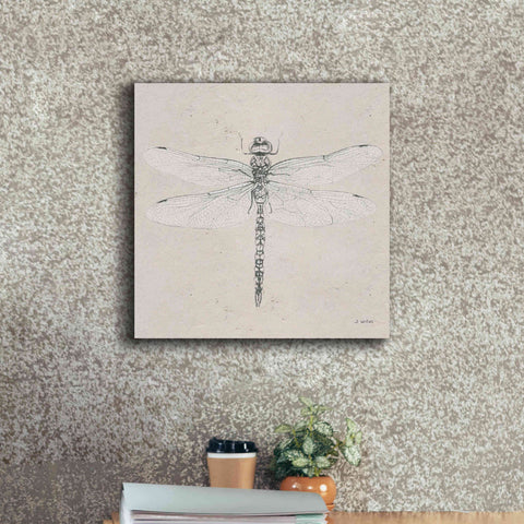 Image of 'Soft Summer Sketches VI' by James Wiens, Canvas Wall Art,18 x 18