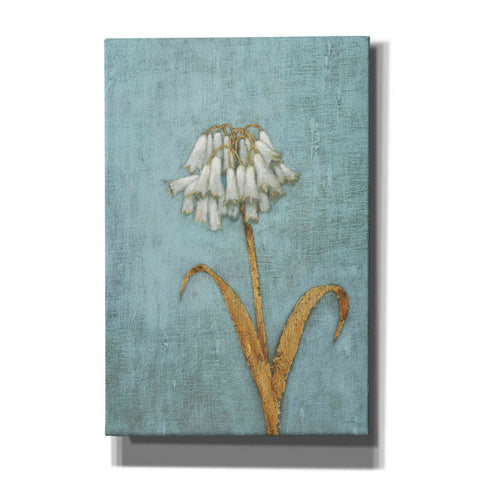 Image of 'Shimmering Summer II' by James Wiens, Canvas Wall Art,12x18x1.1x0,18x26x1.1x0,26x40x1.74x0,40x60x1.74x0