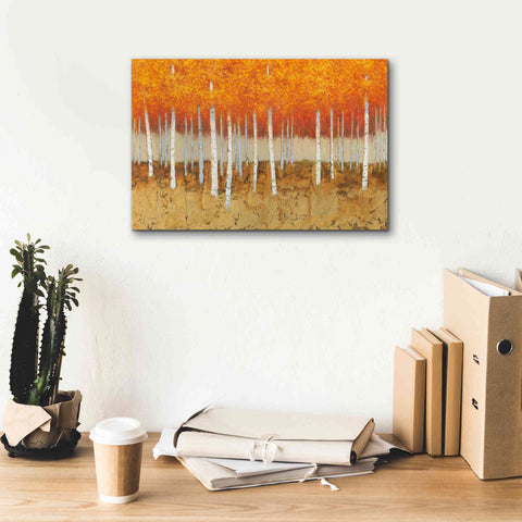 Image of 'Autumn Birches' by James Wiens, Canvas Wall Art,18 x 12