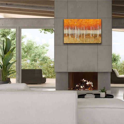 Image of 'Autumn Birches' by James Wiens, Canvas Wall Art,40 x 26