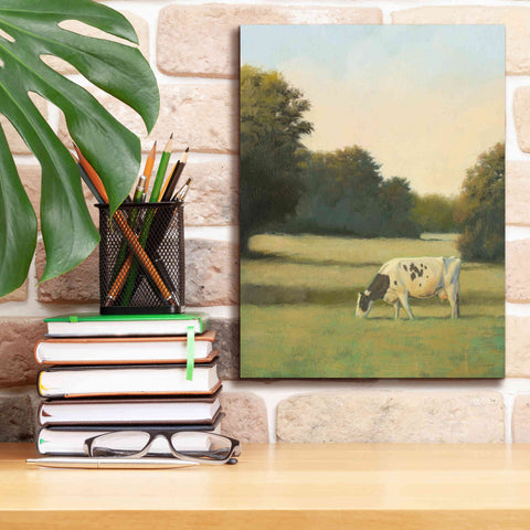 Image of 'Morning Meadows I' by James Wiens, Canvas Wall Art,12 x 16