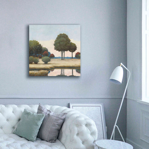 Image of 'By the Waterways II' by James Wiens, Canvas Wall Art,37 x 37
