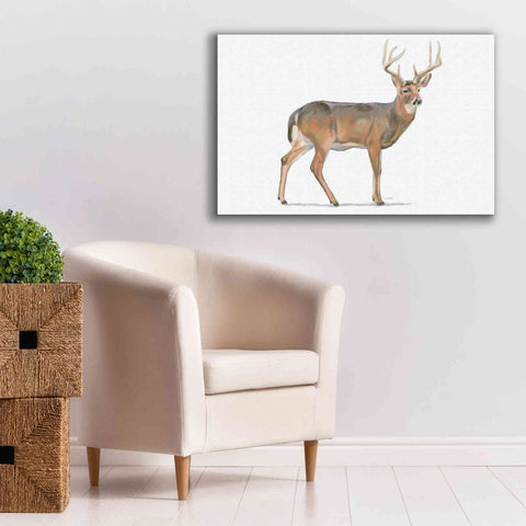 Image of 'Northern Wild V' by James Wiens, Canvas Wall Art,40 x 26