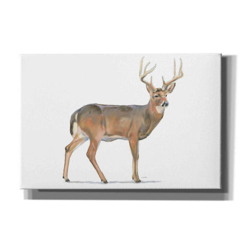 Image of 'Northern Wild V' by James Wiens, Canvas Wall Art,18x12x1.1x0,26x18x1.1x0,40x26x1.74x0,60x40x1.74x0
