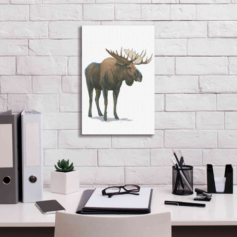 Image of 'Northern Wild VI' by James Wiens, Canvas Wall Art,12 x 18