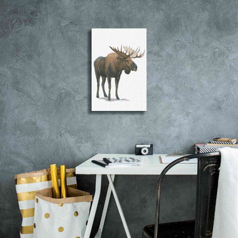Image of 'Northern Wild VI' by James Wiens, Canvas Wall Art,12 x 18
