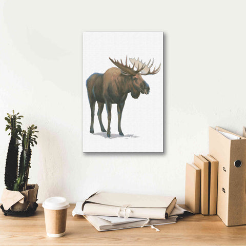 Image of 'Northern Wild VI' by James Wiens, Canvas Wall Art,12 x 18