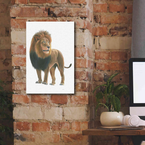 Image of 'Wild and Free I' by James Wiens, Canvas Wall Art,12 x 18