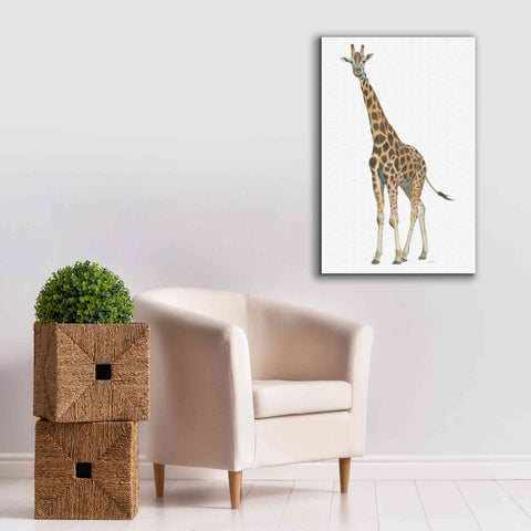 Image of 'Wild and Free V' by James Wiens, Canvas Wall Art,26 x 40
