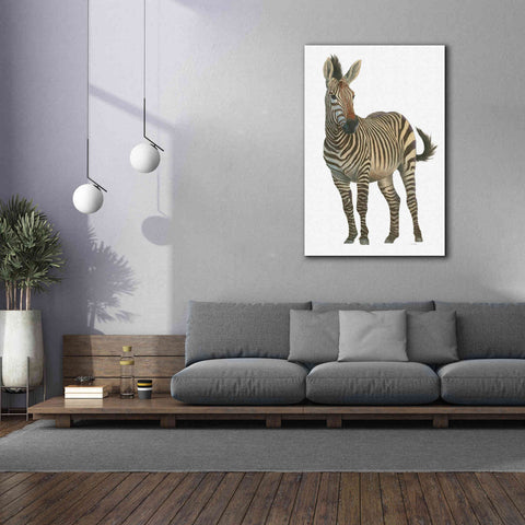 Image of 'Wild and Free VI' by James Wiens, Canvas Wall Art,40 x 60