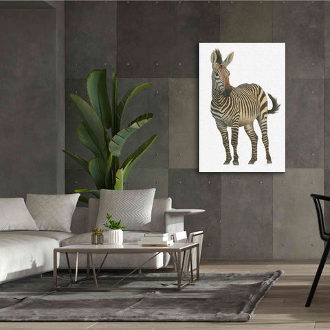 Image of 'Wild and Free VI' by James Wiens, Canvas Wall Art,40 x 60