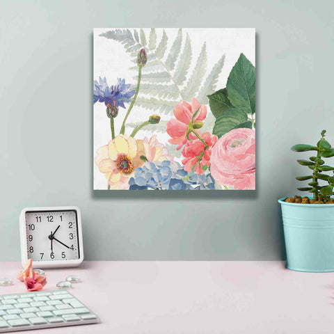 Image of 'Boho Bouquet IX' by James Wiens, Canvas Wall Art,12 x 12