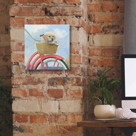 Image of 'Beach Ride V' by James Wiens, Canvas Wall Art,12 x 12